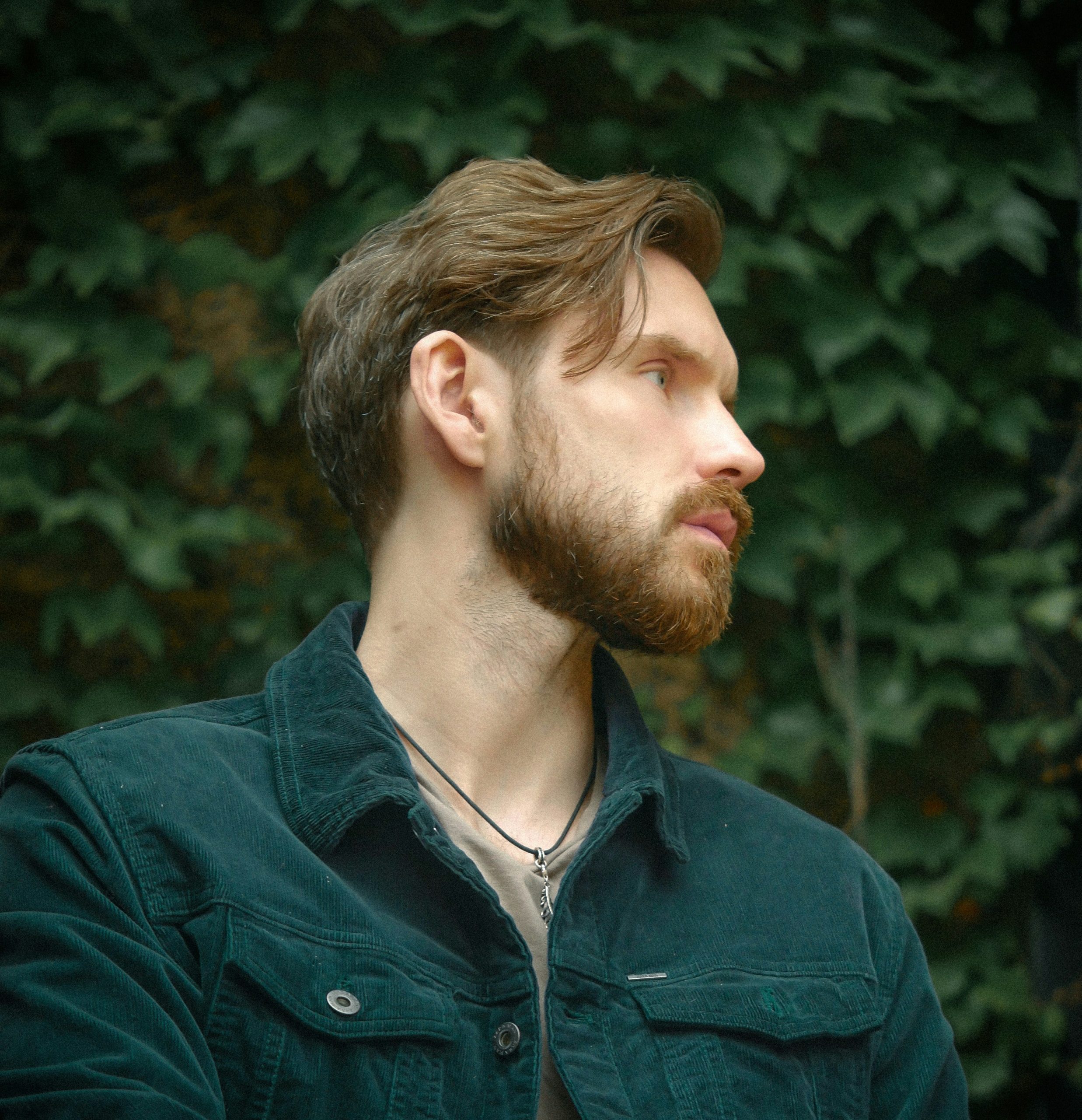 Beard restoration